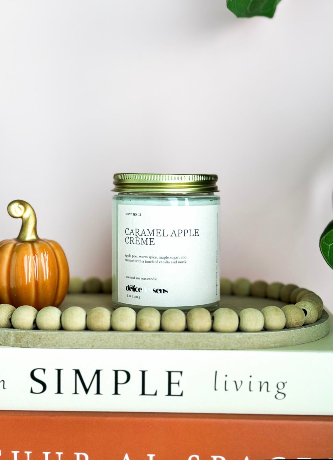 Fall Candles Collection| Cozy Autumn Fragrances |Coconut Soy Candle