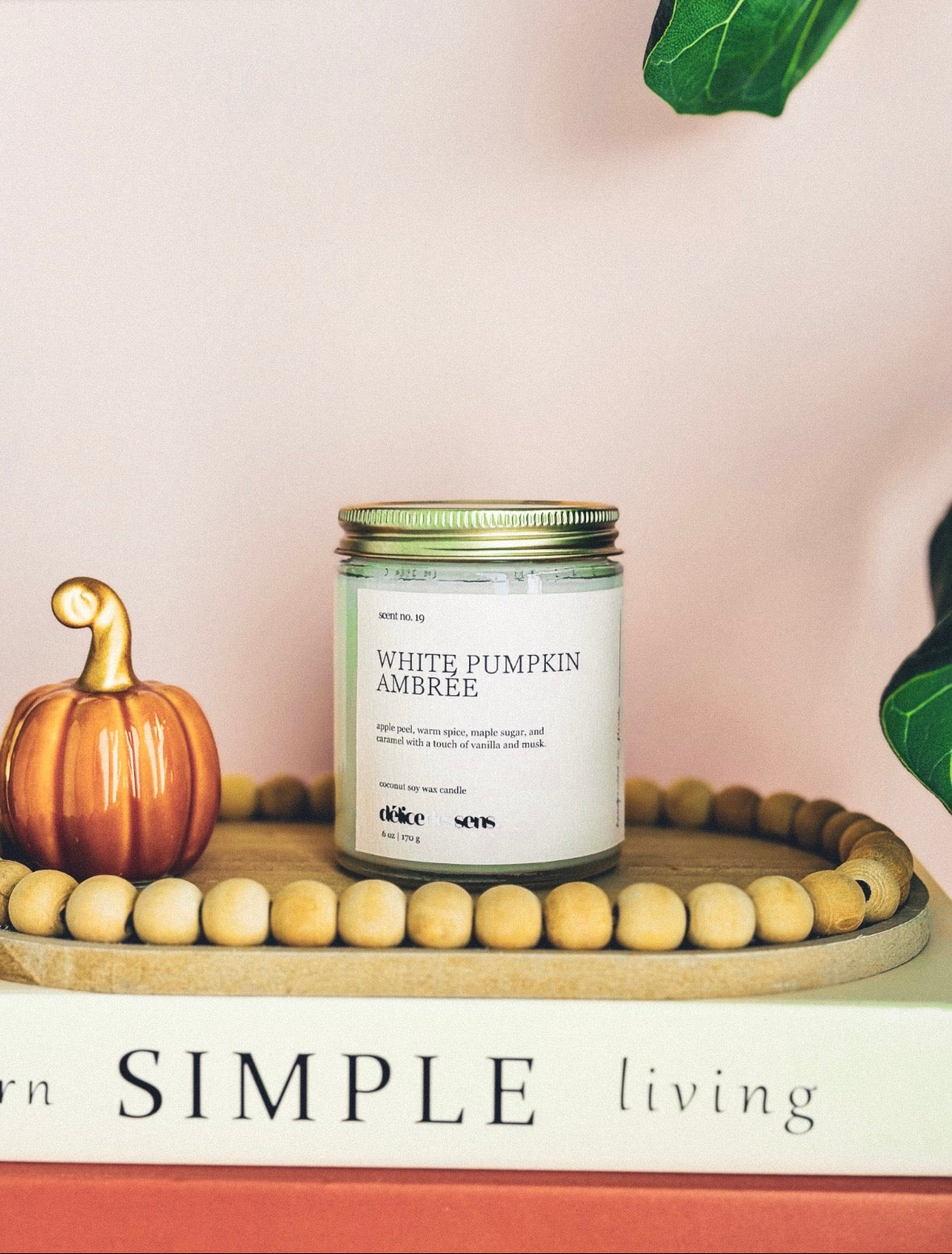 Fall Candles Collection| Cozy Autumn Fragrances |Coconut Soy Candle