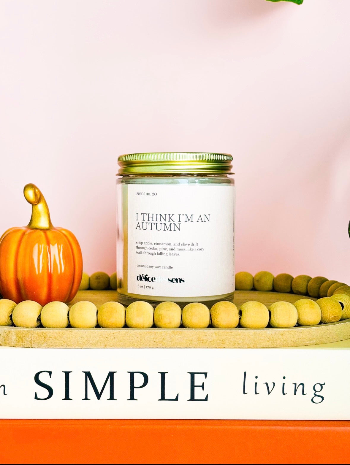 Fall Candles Collection| Cozy Autumn Fragrances |Coconut Soy Candle